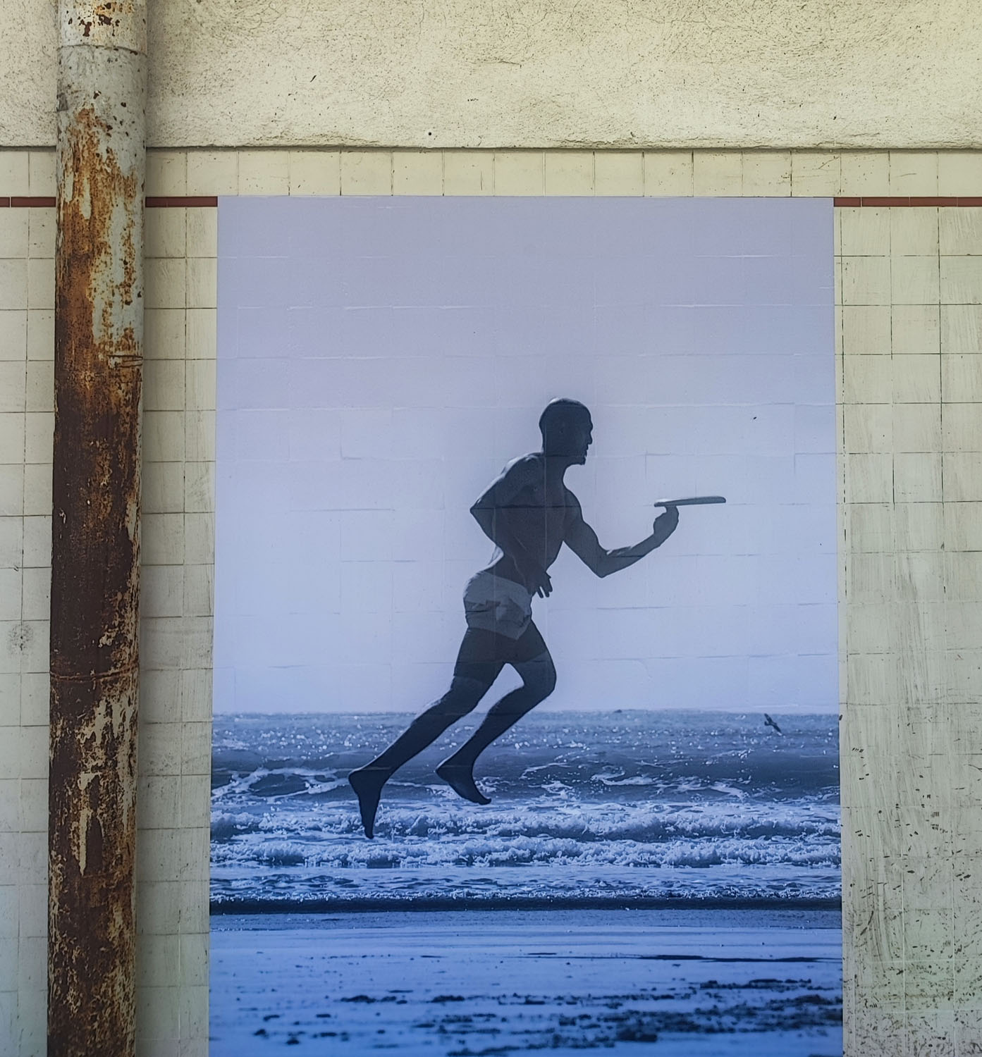 CALIFORNIA DREAM – 109